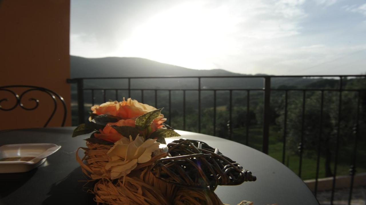 Casafe Tra Sogno E Realta Bed & Breakfast Narni Scalo Екстериор снимка
